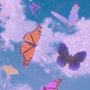 Meet your Posher, Tiana